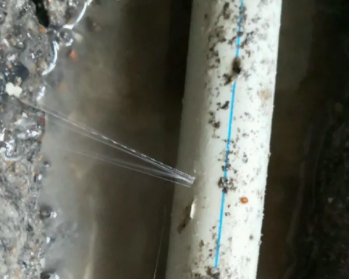 阳东卫生间测漏水多少钱